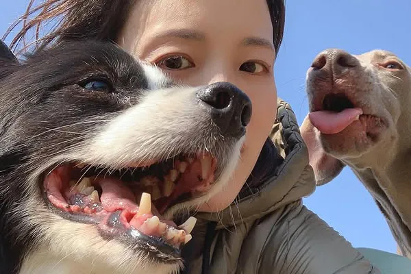 愛犬との写真